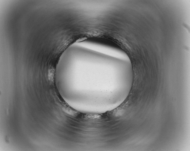 X0000096430576200802071728