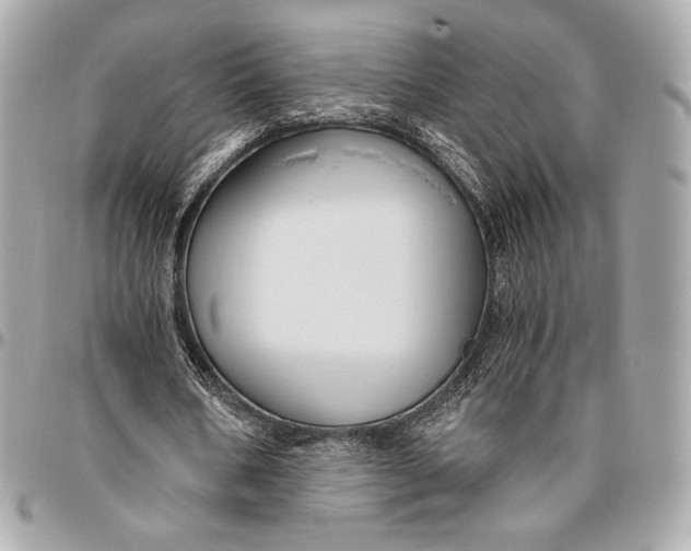 X0000096430578200802071727