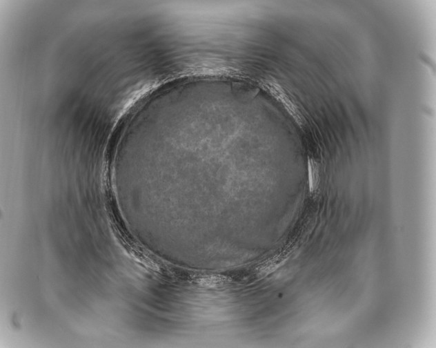 X0000096430579200802071727