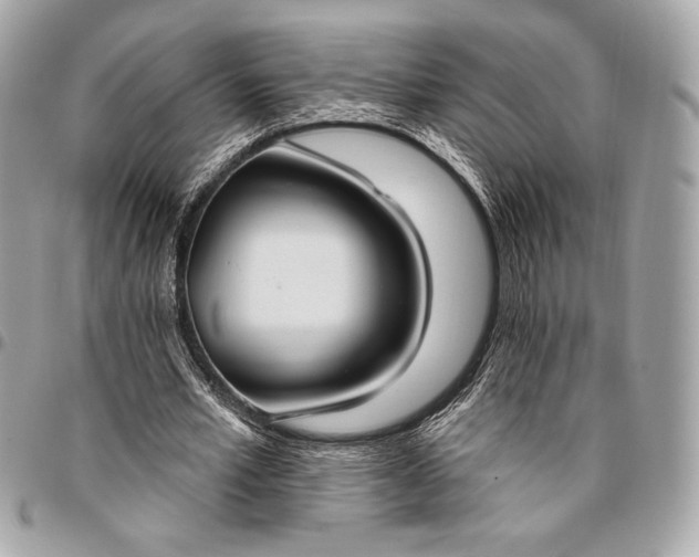 X0000096430581200802071727