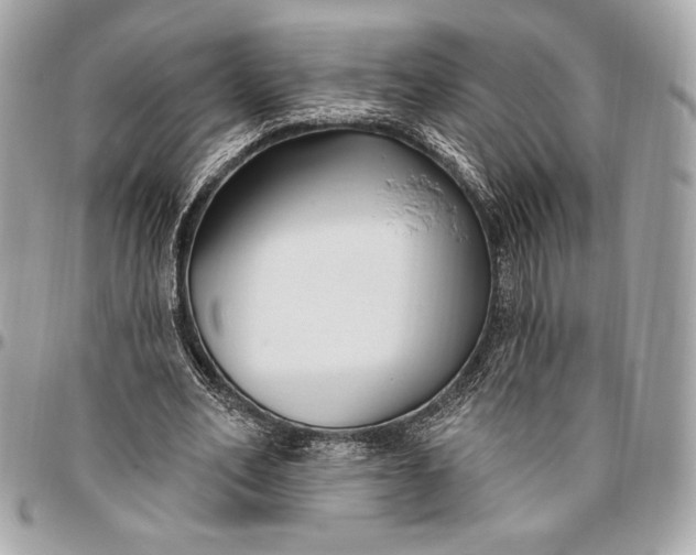 X0000096430582200802071727
