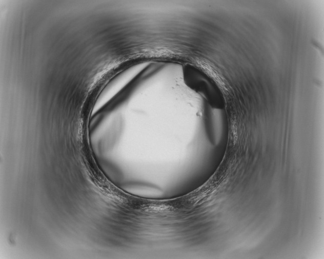 X0000096430583200802071727