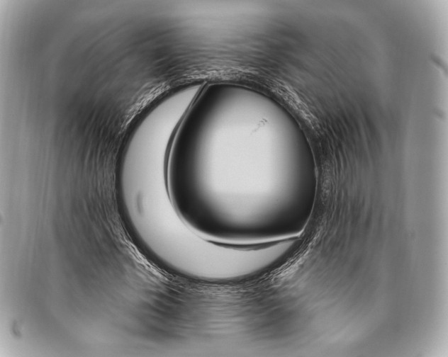 X0000096430585200802071727