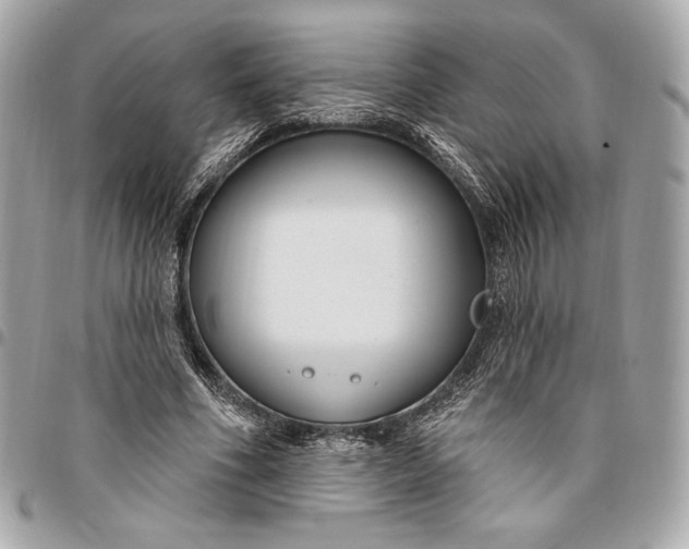 X0000096430586200802071727