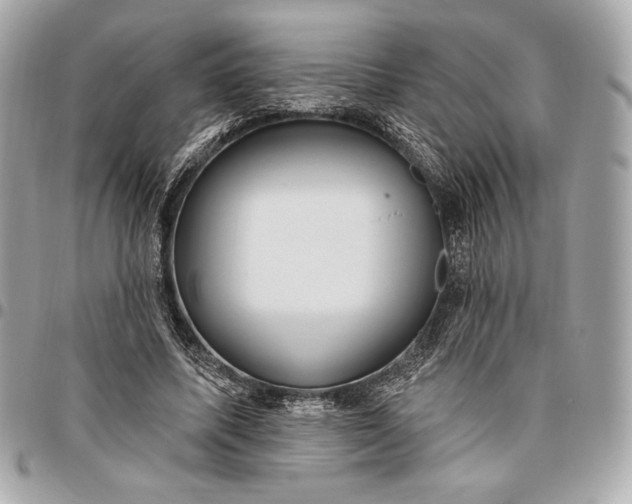 X0000096430587200802071727