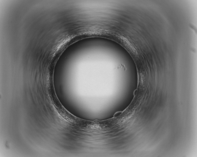 X0000096430588200802071727