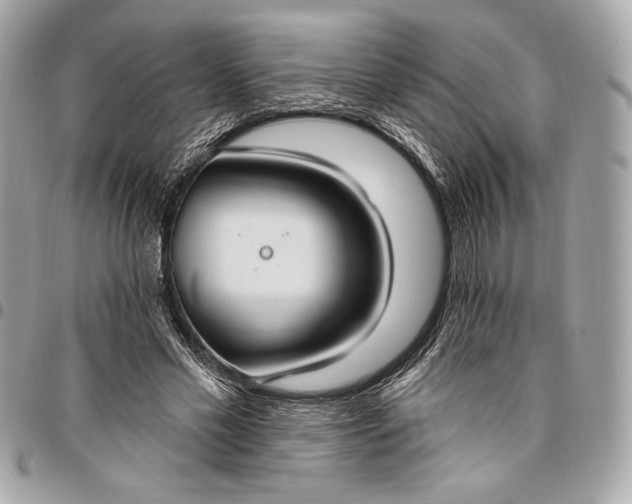 X0000096430589200802071727