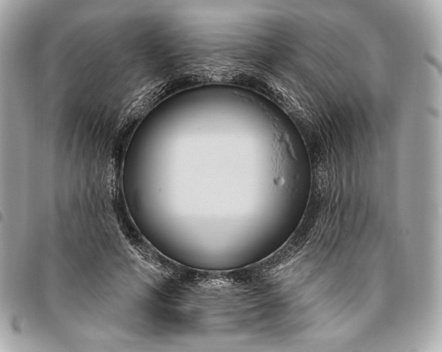 X0000096430594200802071727