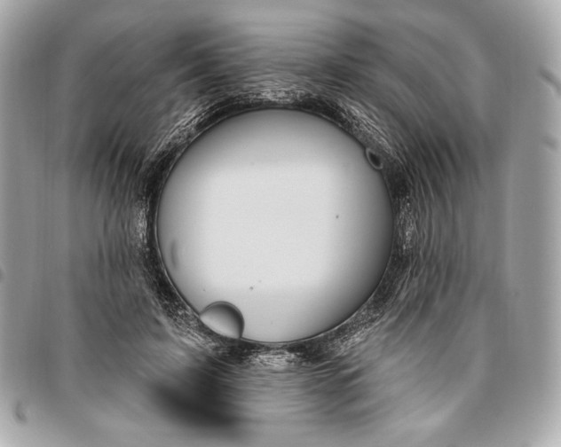 X0000096430595200802071727