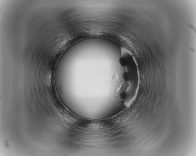 X0000096430596200802071727