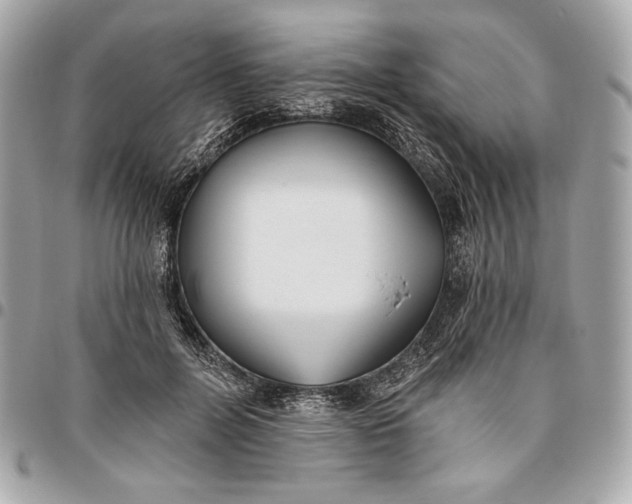 X0000096430600200802071727