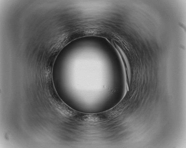 X0000096430601200802071727