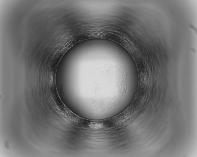 X0000096430602200802071727