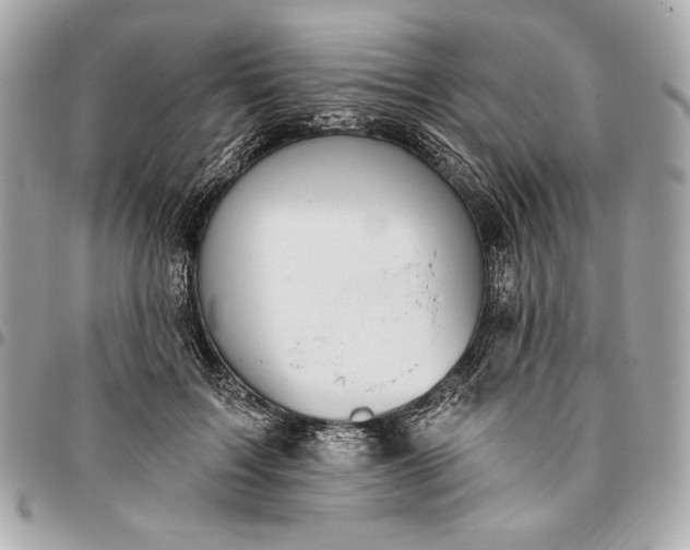 X0000096430603200802071727