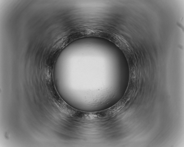 X0000096430607200802071727