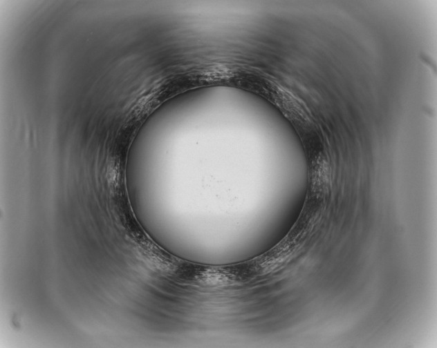 X0000096430608200802071727