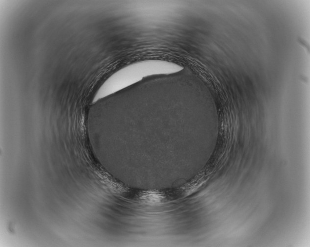 X0000096430610200802071727