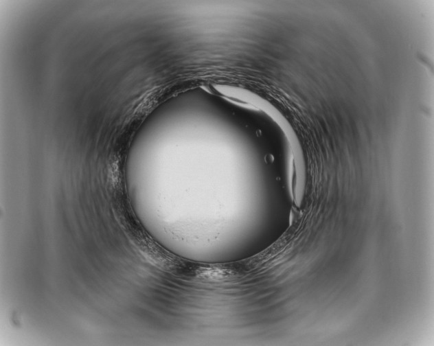 X0000096430611200802071727