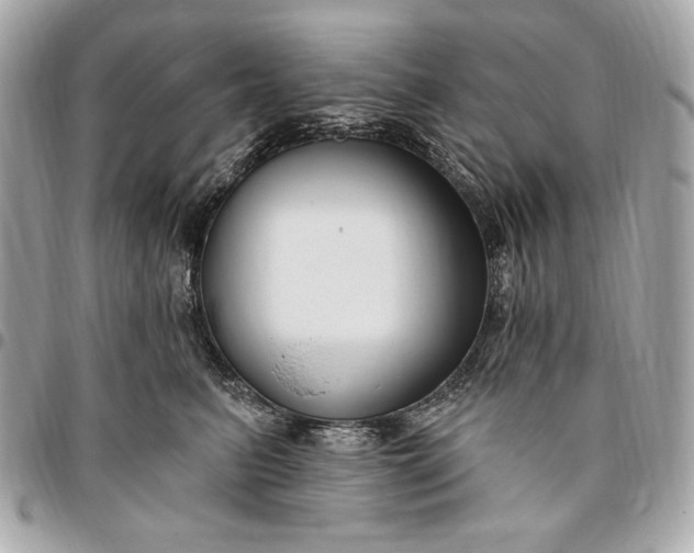 X0000096430615200802071727