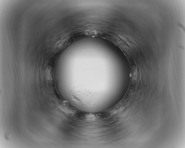 X0000096430616200802071727