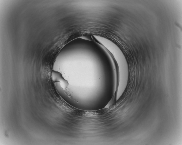 X0000096430617200802071727