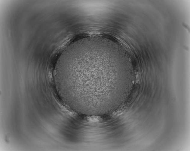X0000096430618200802071727