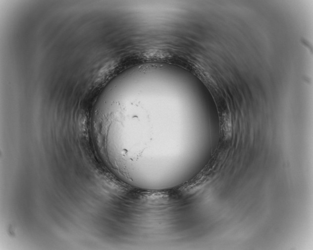 X0000096430619200802071727