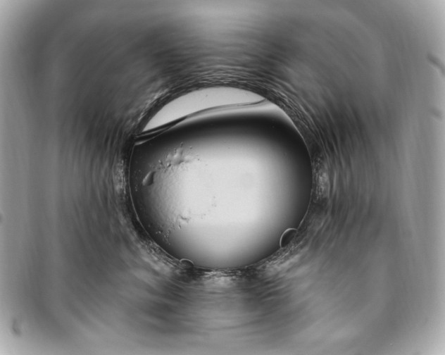 X0000096430620200802071727