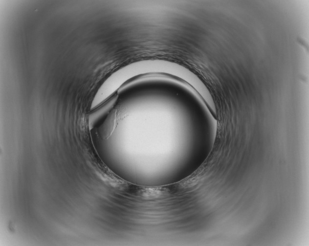 X0000096430623200802071727