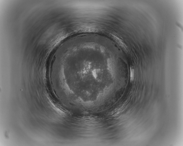 X0000096430627200802071726