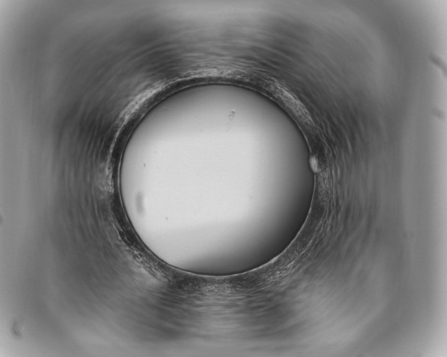 X0000096430628200802071726