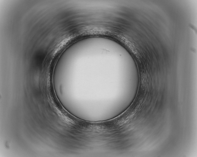X0000096430629200802071726