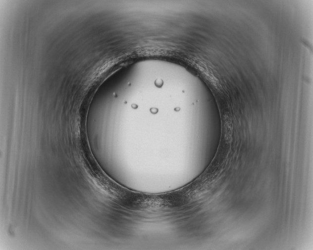 X0000096430631200802071726