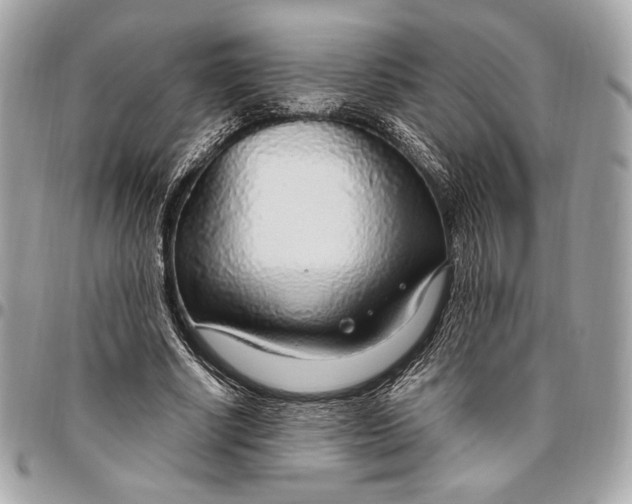 X0000096430634200802071726