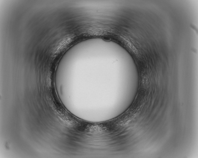 X0000096430635200802071726