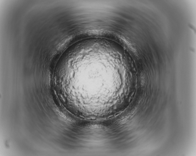 X0000096430637200802071726