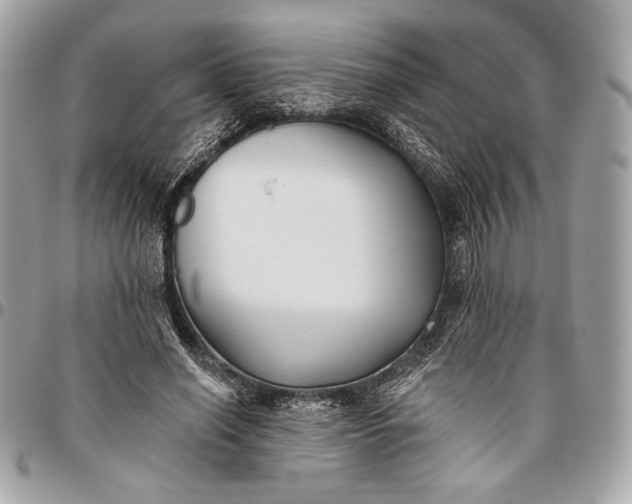 X0000096430638200802071726