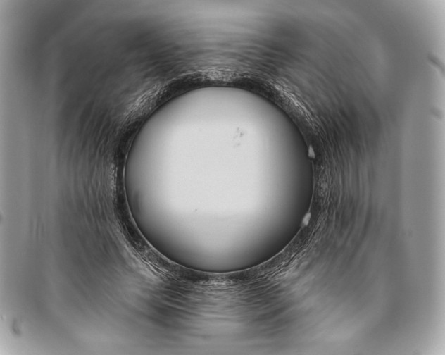 X0000096430639200802071726