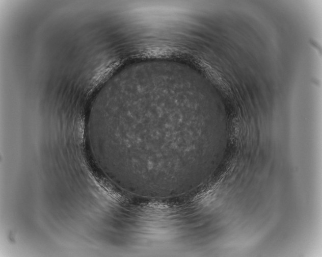 X0000096430640200802071726