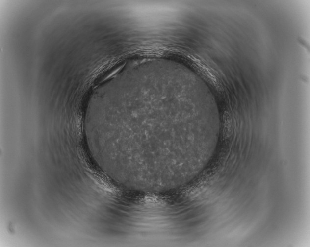 X0000096430641200802071726