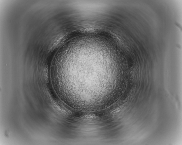 X0000096430642200802071726