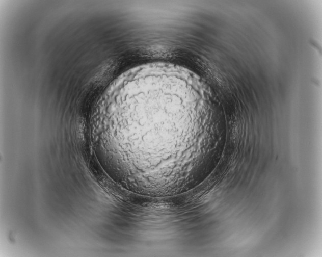 X0000096430643200802071726