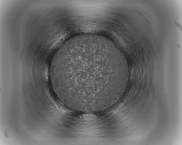 X0000096430644200802071726