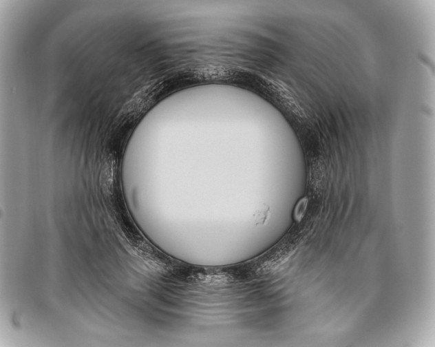 X0000096430645200802071726