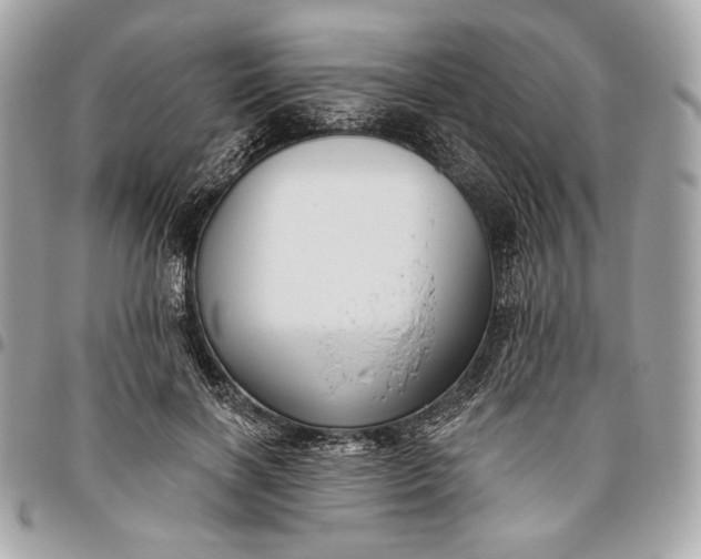 X0000096430646200802071726