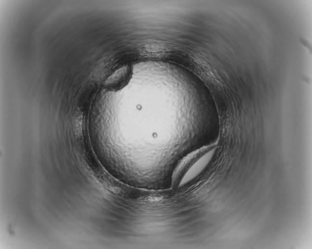 X0000096430647200802071726