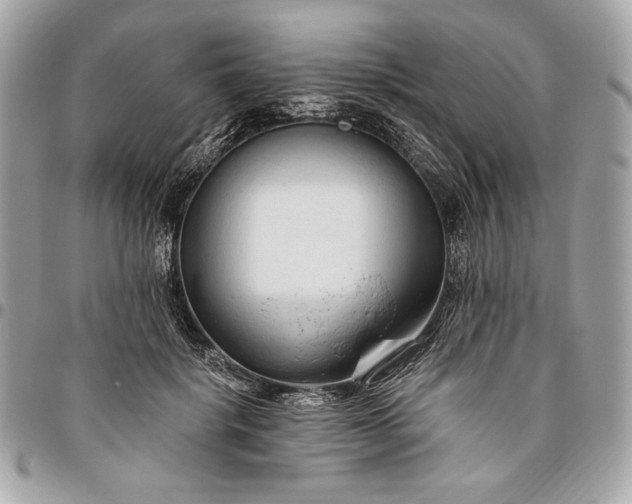 X0000096430652200802071726