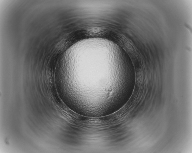 X0000096430653200802071726