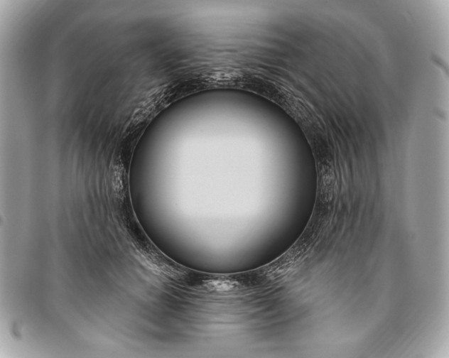 X0000096430654200802071726