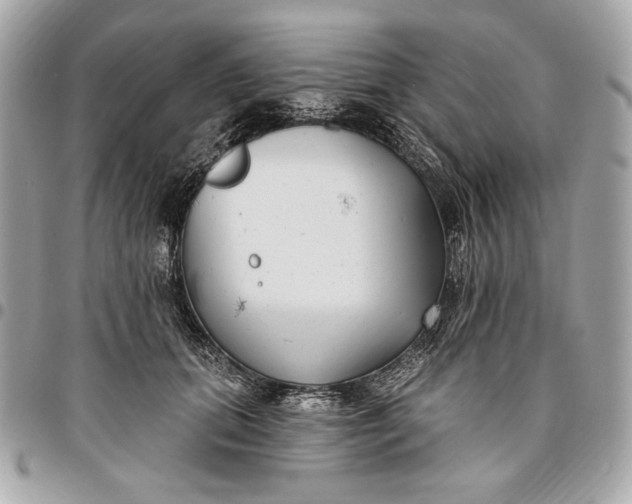 X0000096430655200802071726